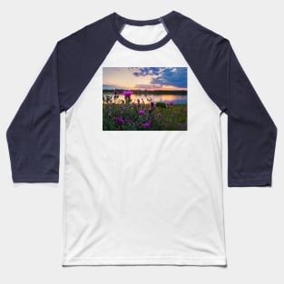 wild steppe violets Baseball T-Shirt